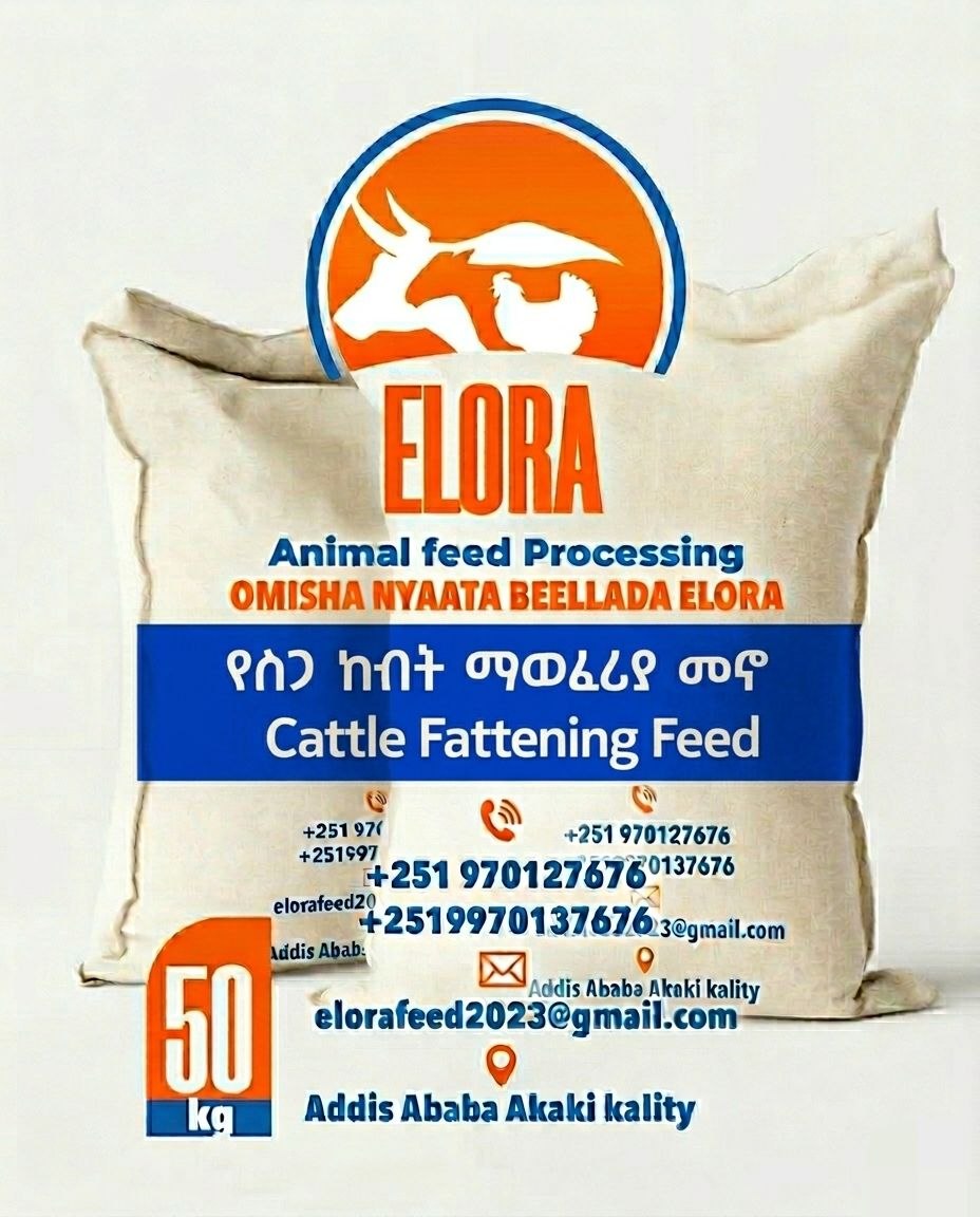Cattle Fattening Feed
